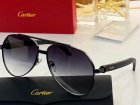Cartier High Quality Sunglasses 672