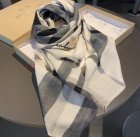 Burberry Scarves 335