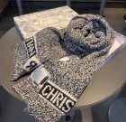 DIOR Scarves 25