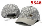 DIOR Hats 212