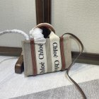 Chloe Original Quality Handbags 309