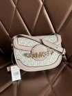 MICHAEL KORS High Quality Handbags 300