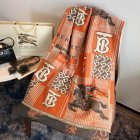 Burberry Scarves 451