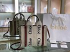 Chloe Original Quality Handbags 161