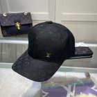 Louis Vuitton High Quality Hats 375