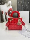 DIOR High Quality Handbags 164