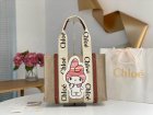Chloe Original Quality Handbags 139