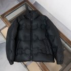 Louis Vuitton Men's Down Jackets 09