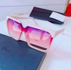 DIOR High Quality Sunglasses 1513