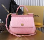 Dolce & Gabbana High Quality Handbags 612