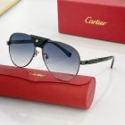 Cartier High Quality Sunglasses 704