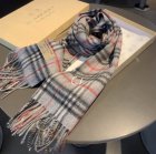 Burberry Scarves 368