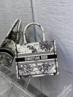 DIOR Original Quality Handbags 359