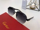Cartier High Quality Sunglasses 631