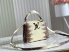 Louis Vuitton Original Quality Handbags 1724