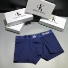 Calvin Klein Men's Underwear 250