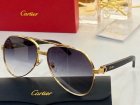 Cartier High Quality Sunglasses 674