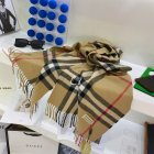 Burberry Scarves 416