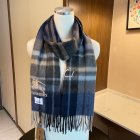 Burberry Scarves 137