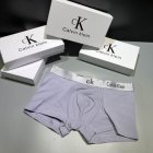 Calvin Klein Men's Underwear 252