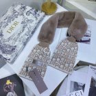 DIOR Scarves 224