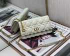 DIOR High Quality Handbags 21