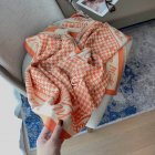DIOR Scarves 248