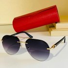 Cartier High Quality Sunglasses 338