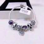 Pandora Jewelry 256