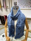 Louis Vuitton Scarves 234