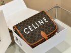 CELINE High Quality Handbags 289
