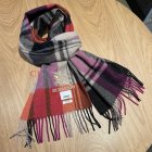 Burberry Scarves 102