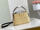Louis Vuitton Original Quality Handbags 1558