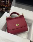 Dolce & Gabbana High Quality Handbags 89