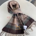 Burberry Scarves 26