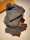 Louis Vuitton Hat & Scarve Set 46