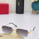Cartier High Quality Sunglasses 346