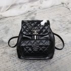 Chanel High Quality Handbags 1196