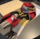Burberry Scarves 228