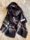 Burberry Scarves 302