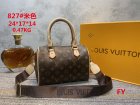 Louis Vuitton Normal Quality Handbags 07