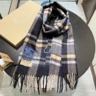 Burberry Scarves 375