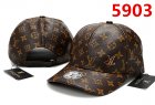Louis Vuitton Normal Quality Hats 57