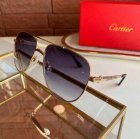 Cartier High Quality Sunglasses 1043