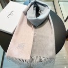 Loewe Scarves 32