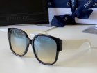 DIOR High Quality Sunglasses 1233
