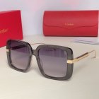 Cartier High Quality Sunglasses 55