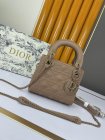 DIOR High Quality Handbags 883